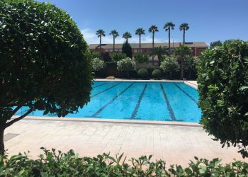 Petrer prepara las piscinas de verano para su apertura con todas las medidas de seguridad