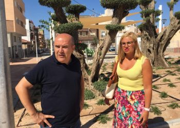 petrer-plaza-america-agosto-2019