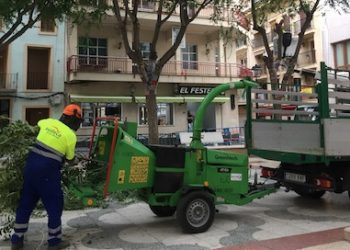 El Ayuntamiento decide llevar a cabo una poda severa en la plaça de Baix para garantizar la seguridad