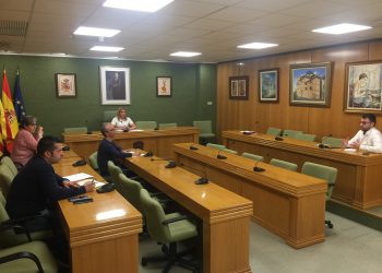 petrer-pleno-abril-2020