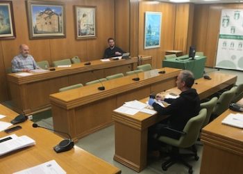 petrer-pleno-covid-19-medidas-economicas-abril-2020