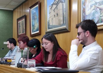 petrer-pleno-reinvindicacion-dia-mujer-febrero-2020-