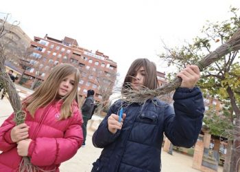 petrer-recogida-esparto-diciembre-2019-1