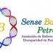 petrer-sense-barreres-mayo-2019