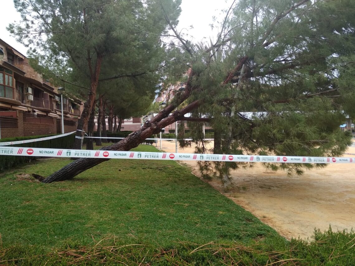 petrer-tempora-derrumbe-arbol-abril-2019-a