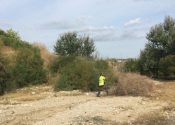 Petrer realiza una actuación extraordinaria en los más de 15.000 m² de la Rambla de Puça