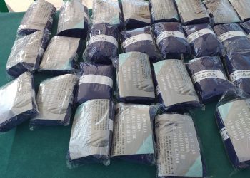 Pilar de la Horadada pone en marcha la campaña «si tiras la toalla, que sea en la playa»