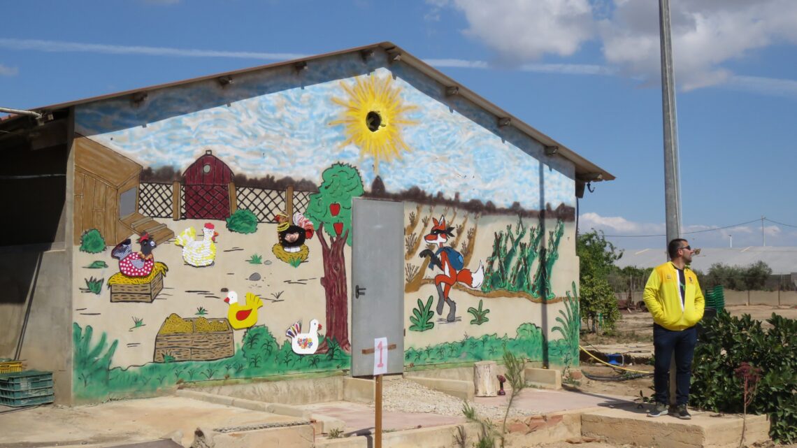 pilar-de-la-horadada-gallinero-centro-dia-marzo-2019