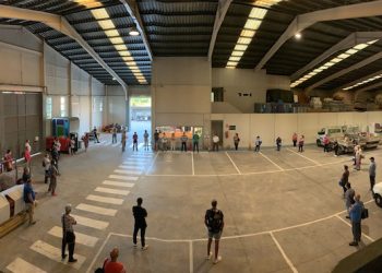 Pilar de la Horadada contrata a 42 desempleados para trabajar durante tres meses