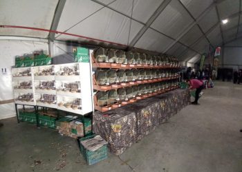 pilar-de-la-horadada-presentacion-feria-de-la-perdiz-noviembre-2019-2