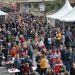 pinoso-dia-villazgo-febrero-2020-1