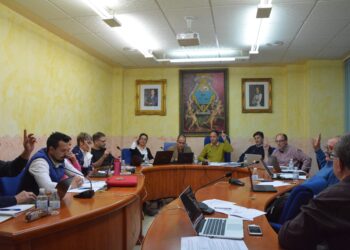 pinoso-pleno-abril-2019