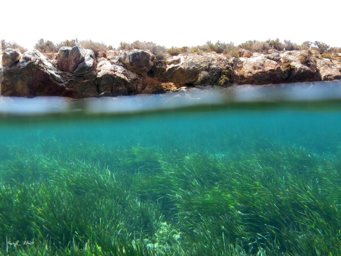 poseidonia-abril-2019