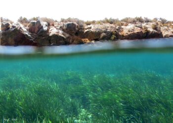 poseidonia-abril-2019