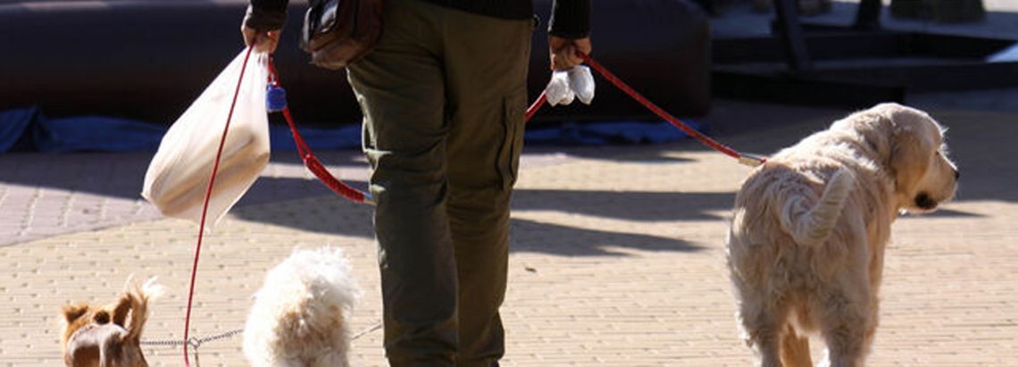 rafal-mascotas-septiembre-2019