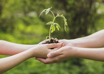 reciclaje-manos-sujetando-planta-pequena-octubre-2019