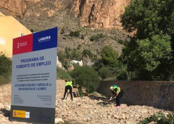 redovan-empleo-noviembre-2019