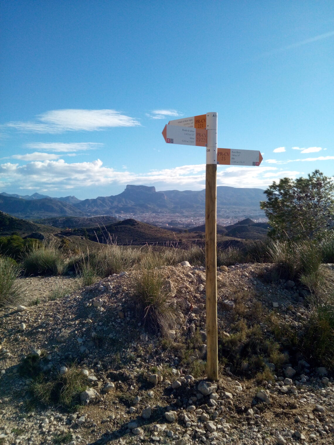 renovacion-senales-vuelta-a-camara-elda-diciembre-2018-2