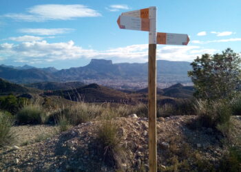 renovacion-senales-vuelta-a-camara-elda-diciembre-2018-2