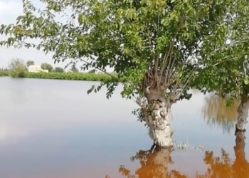 rojales-inundaciones-septiembre-2019