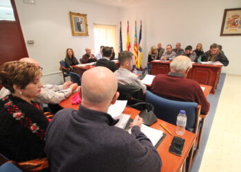 rojales-pleno-extraordinario-enero-2019