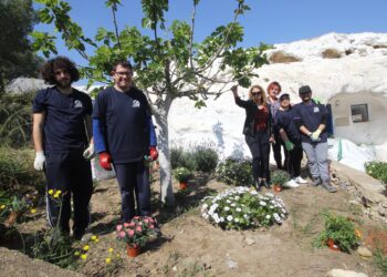 rojales-trabajos-de-mantenimiento-ayuntamiento-adis-abril-2019-1
