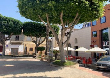 San Fulgencio destina más de 240.000 euros en ayudas para empresas y comercios