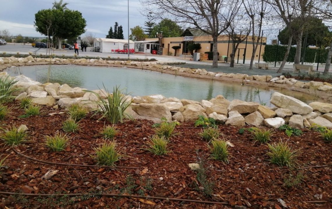 san-fulgencio-obras-edar-diciembre-2019-2