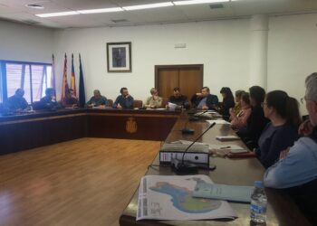 santa-pola-asamblea-plenaria-sostenibilidad-abril-2019