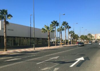 santa-pola-avenida-perez-ojeda-febrero-2019