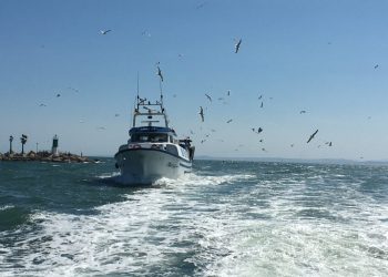 santa-pola-barco-de-pesca-septiembre-2019