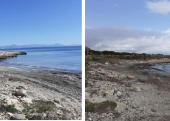 Conservación Playa canina Caleta dels Gossets