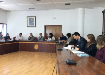 santa-pola-consejo-local-febrero-2019