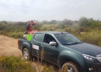 santa-pola-fumigacion-abril-2020