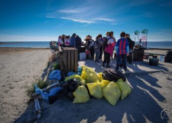 santa-pola-limpieza-playa-gola-marzo-2019