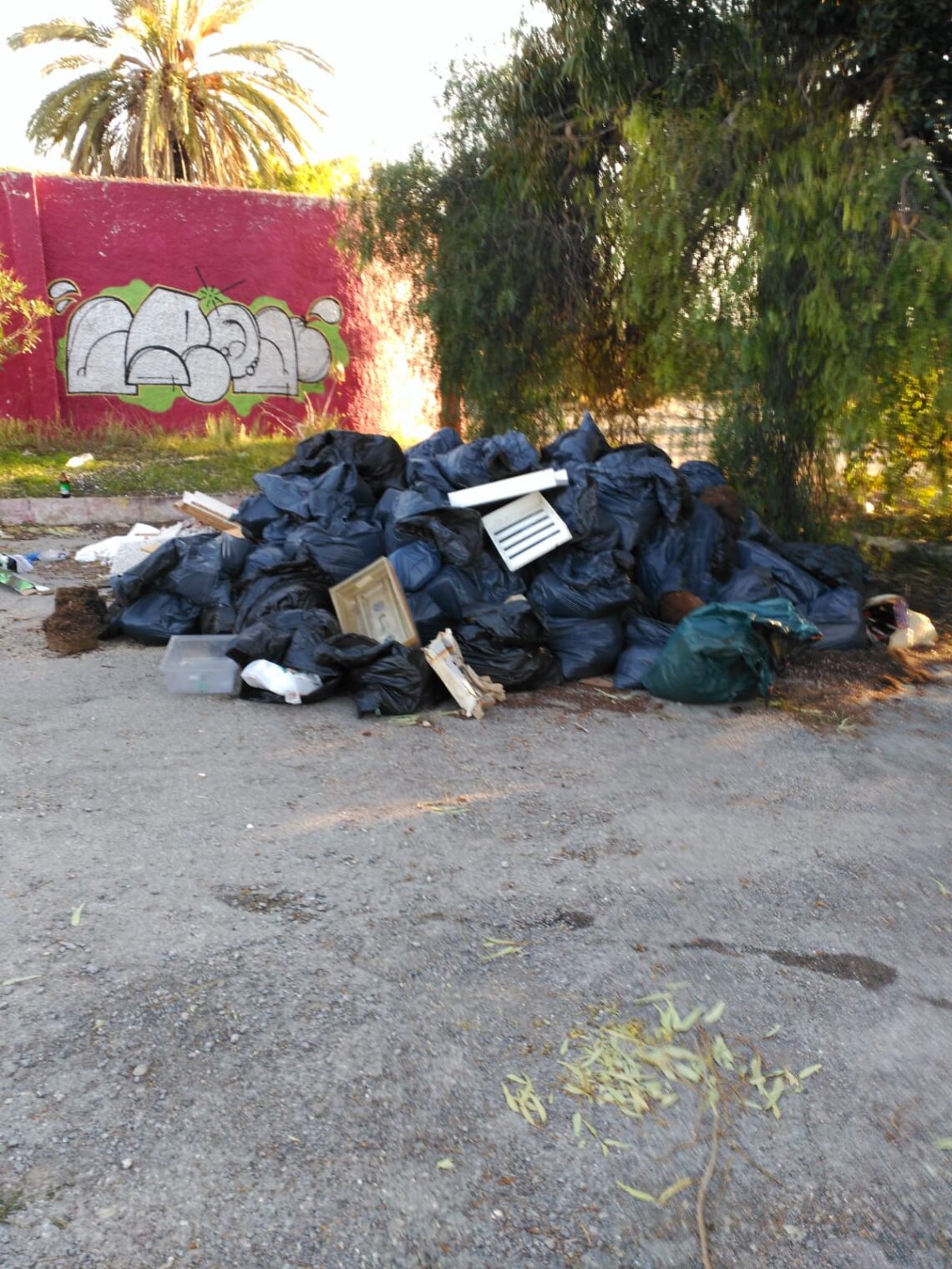 santa-pola-marzo-2019-3