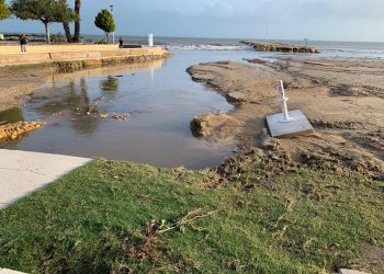 santa-pola-playa-de-levanta-noviembre-2019-2