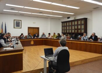 santa-pola-pleno-febrero