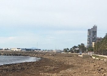 santa-pola-poseidonia-santiago-bernabeu-febrero-2020-1