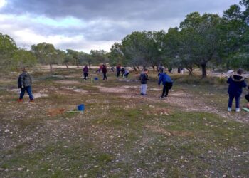 santa-pola-reforestacion-escolares-febrero-2019