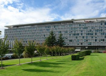 Preguntas y respuestas sobre el COVID-19