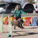 torrevieja-agility-agosto-2019-1