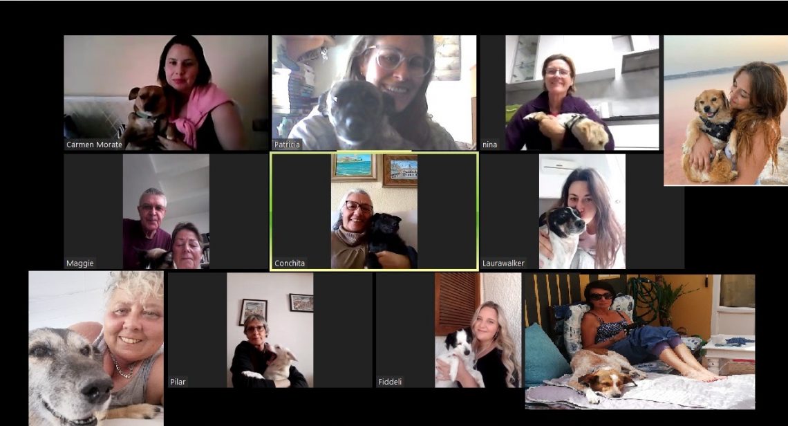 Adopción de mascotas en tiempos de pandemia