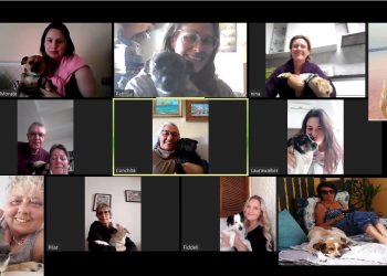 Adopción de mascotas en tiempos de pandemia