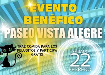 torrevieja-colonias-felinas-febrero-2020-2