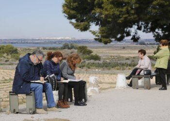 torrevieja-dibunomada-abril-2019