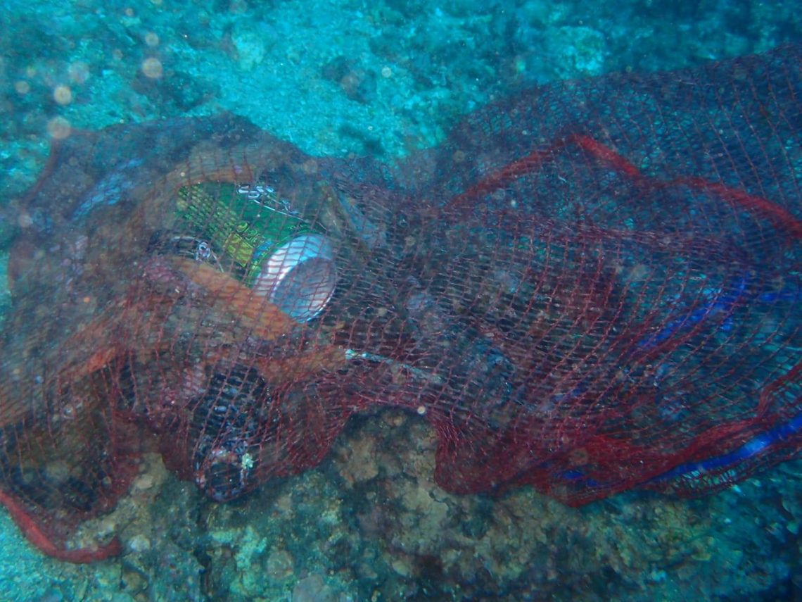 torrevieja-fondos-marinos-diciembre-2019-2