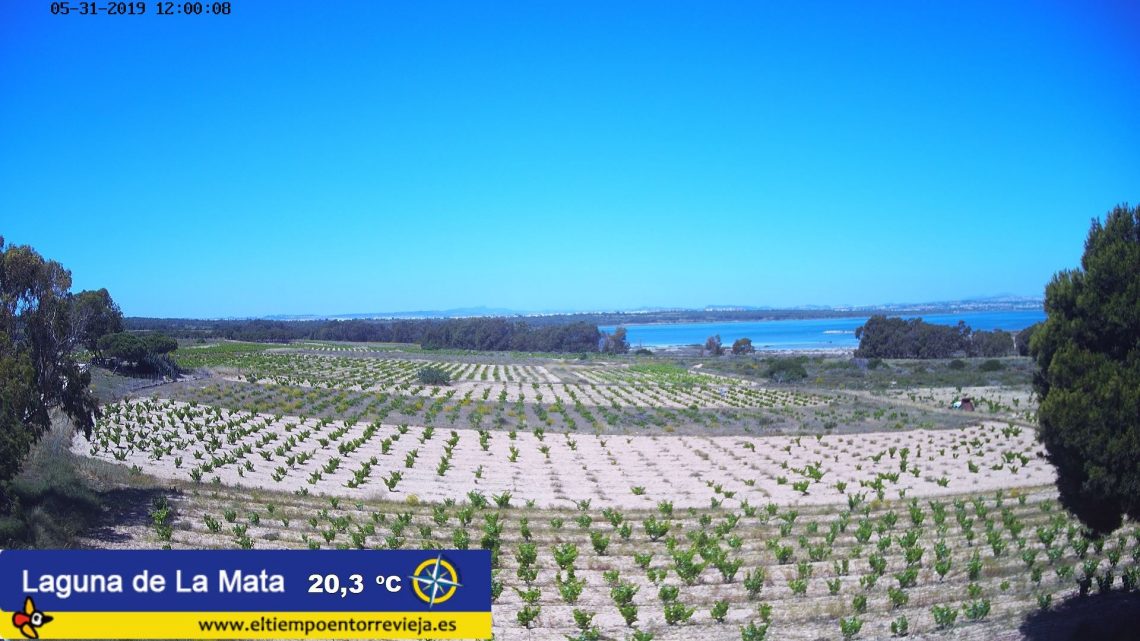 torrevieja-parque-la-mata-junio-2019