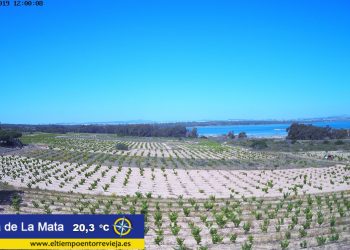 torrevieja-parque-la-mata-junio-2019