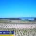 torrevieja-parque-la-mata-junio-2019